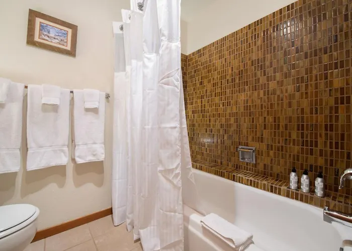Apartment Rmr: Columbine 1011 In The Aspenswilsonwy