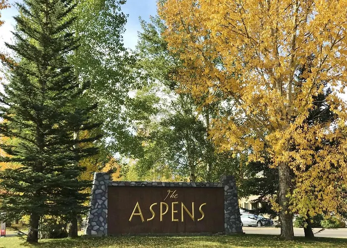 Rmr: Columbine 1011 In The Aspenswilsonwy * Wilson